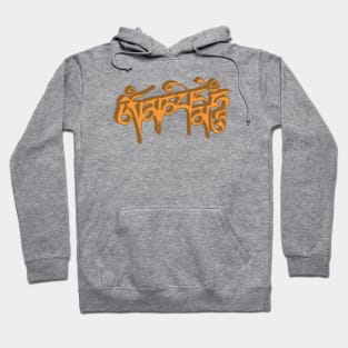 Om mani padme hum Hoodie